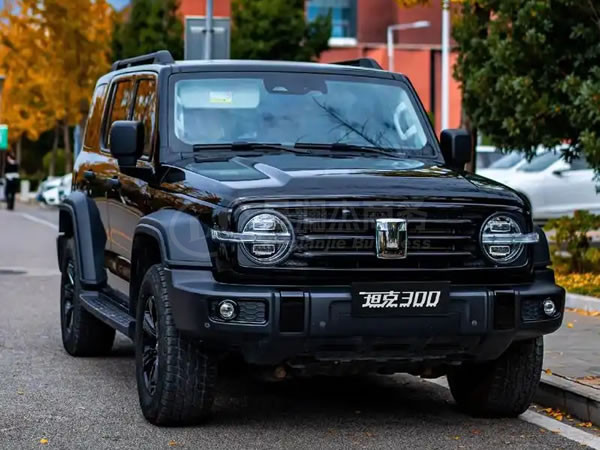 綿陽(yáng)坦克300汽車(chē)出租